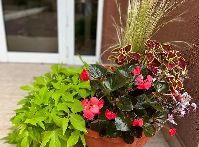 Hostel Bistrita Eforie Sud (Constanta)