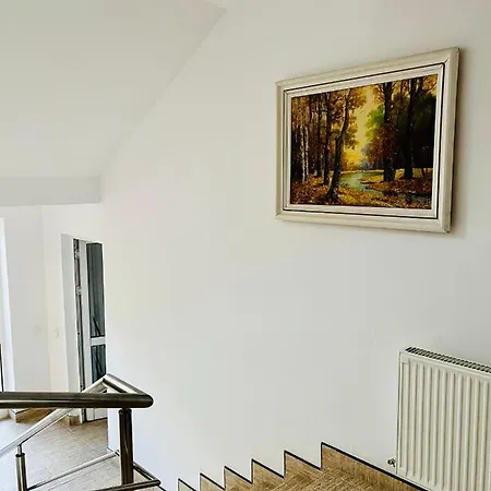 Bistrita Hostel *